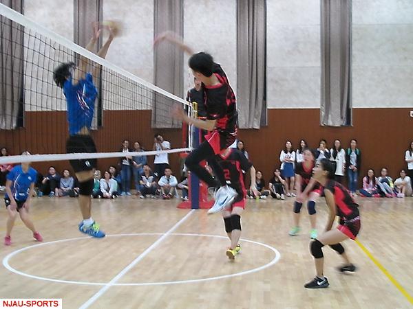 探球体育客户端