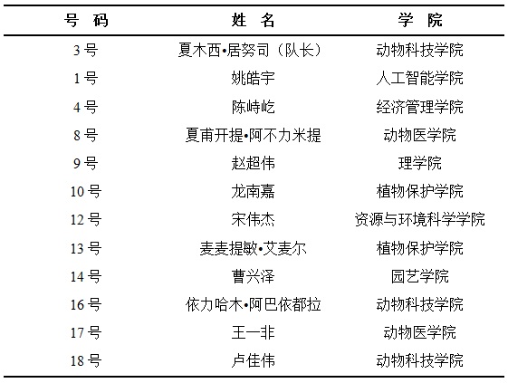 探球体育欧洲杯
