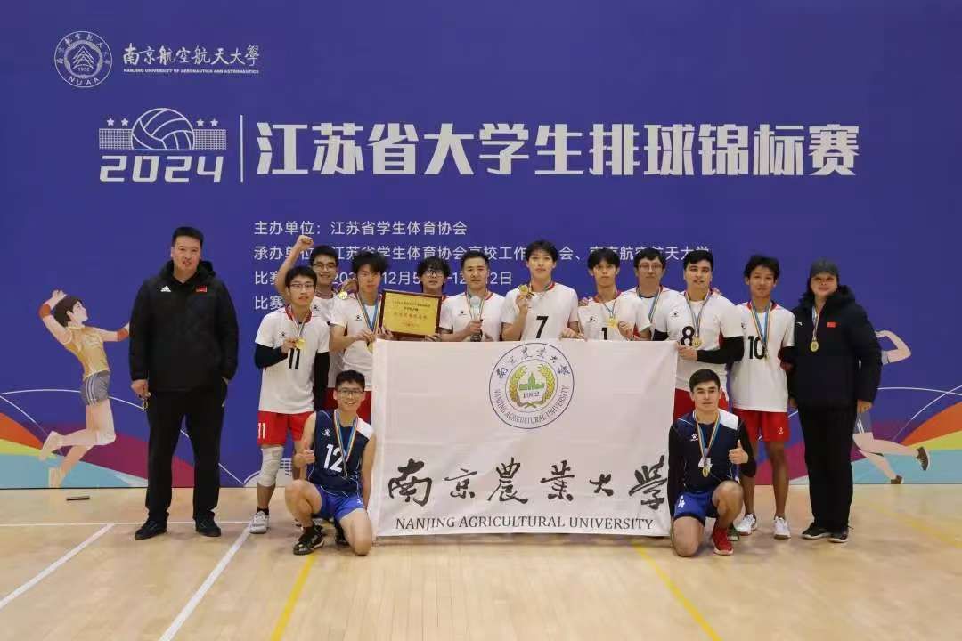 探球体育平台图片
