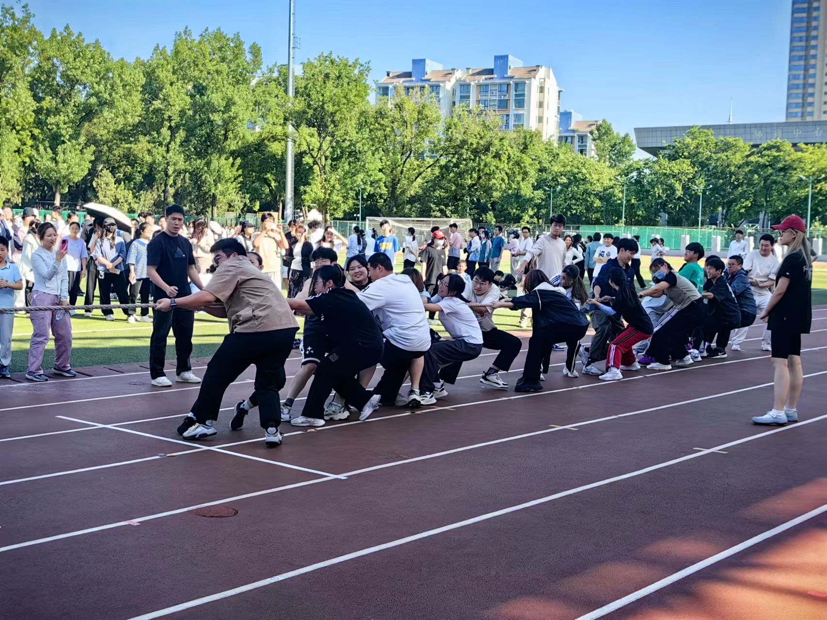 探球体育赛事资讯平台