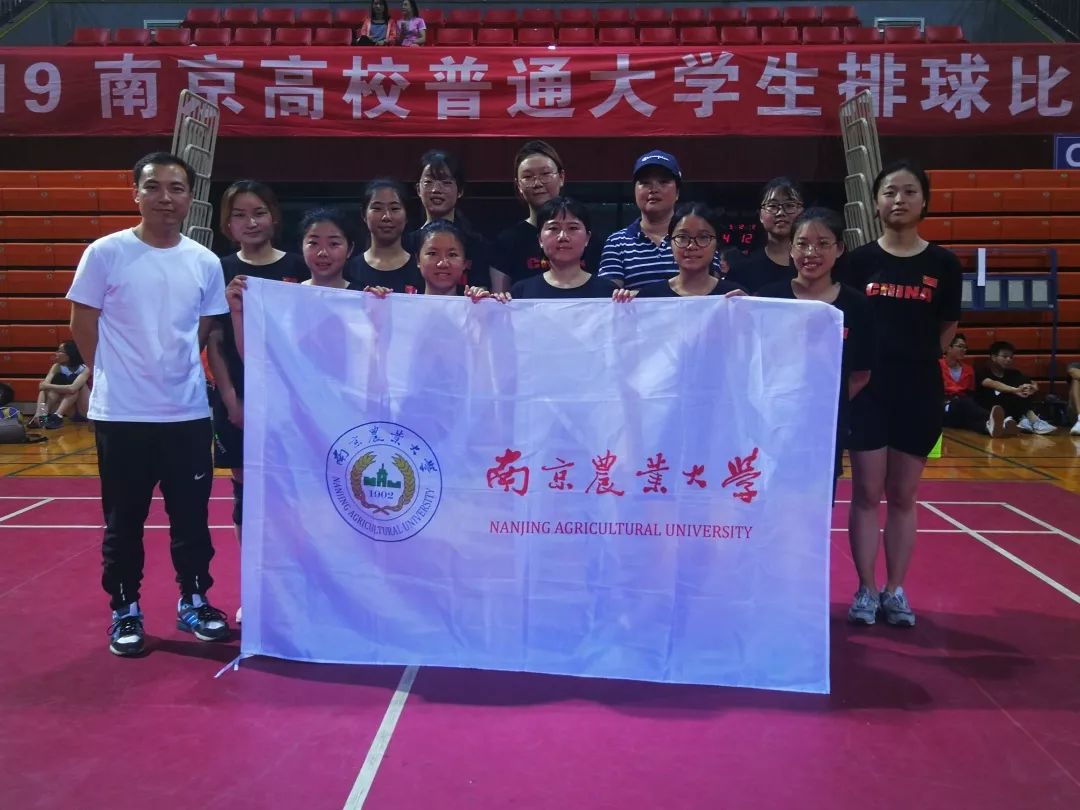 探球体育欧冠直播图片