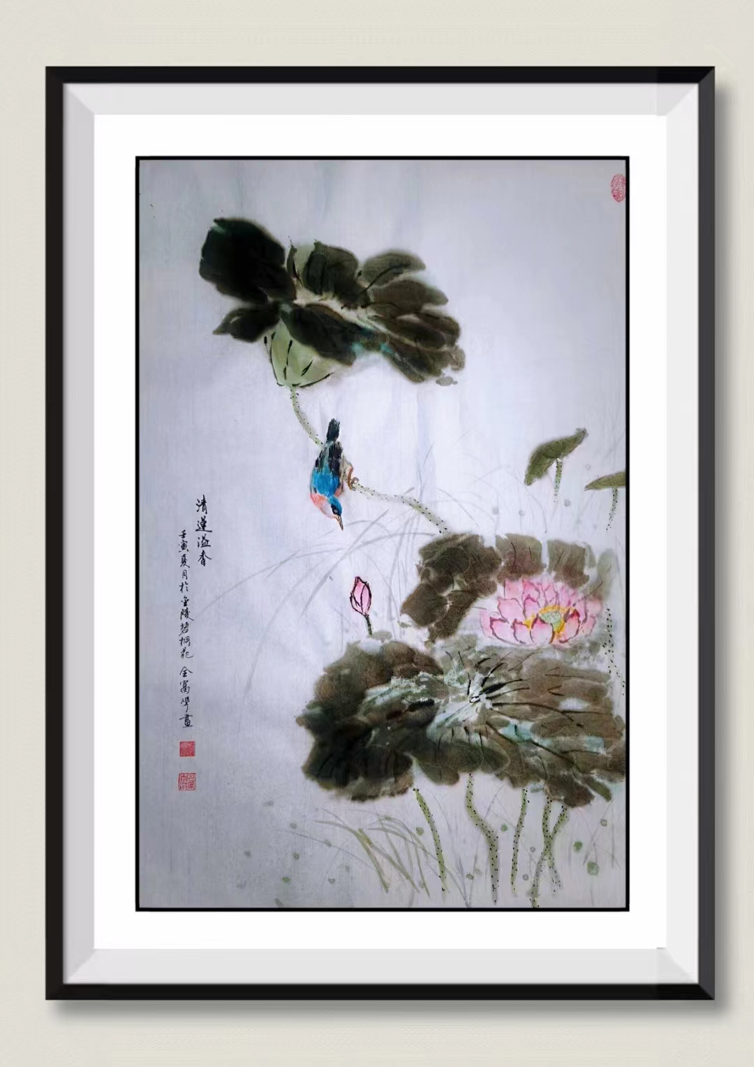 探球体育加速节点图片
