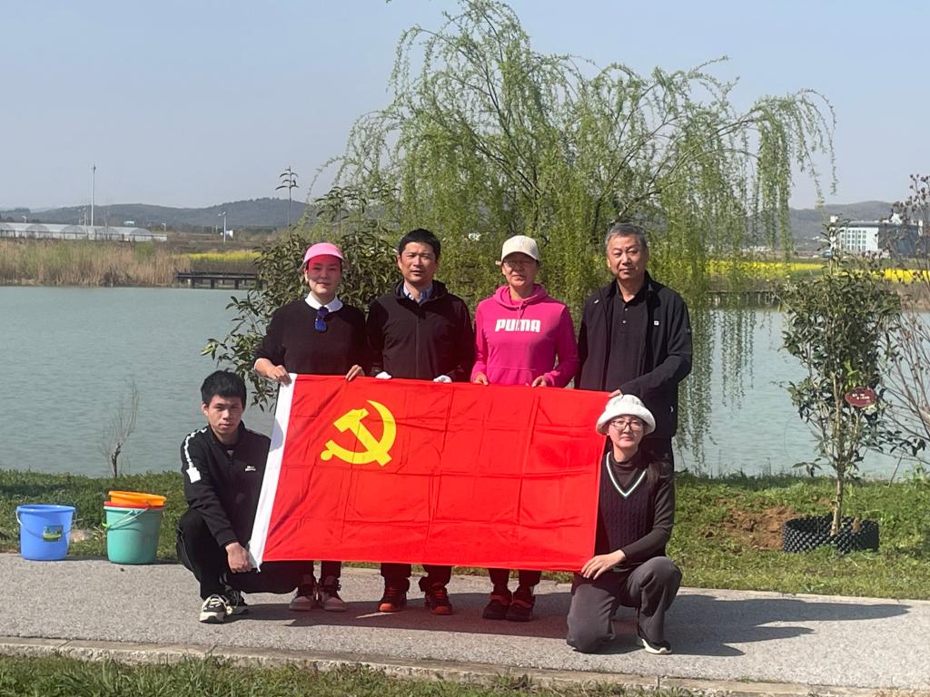 探球体育指定通道图片