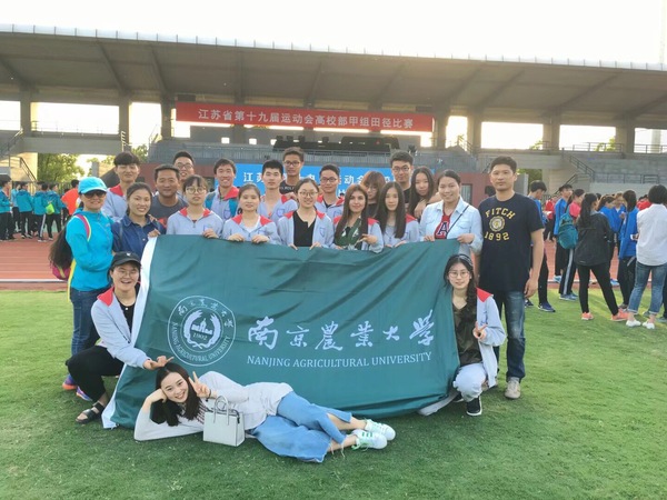 探球体育欧冠直播图片