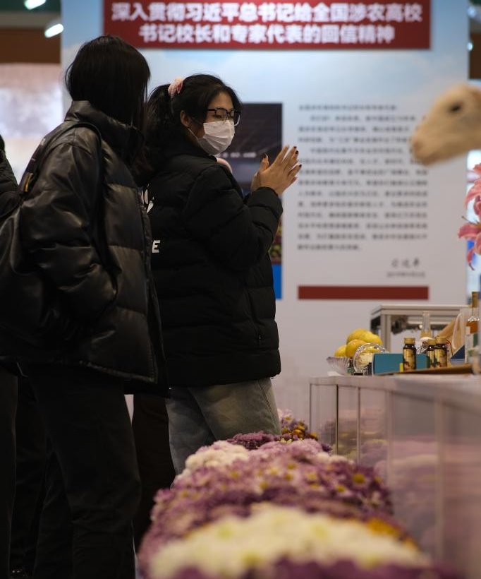 探球体育赛事快讯图片