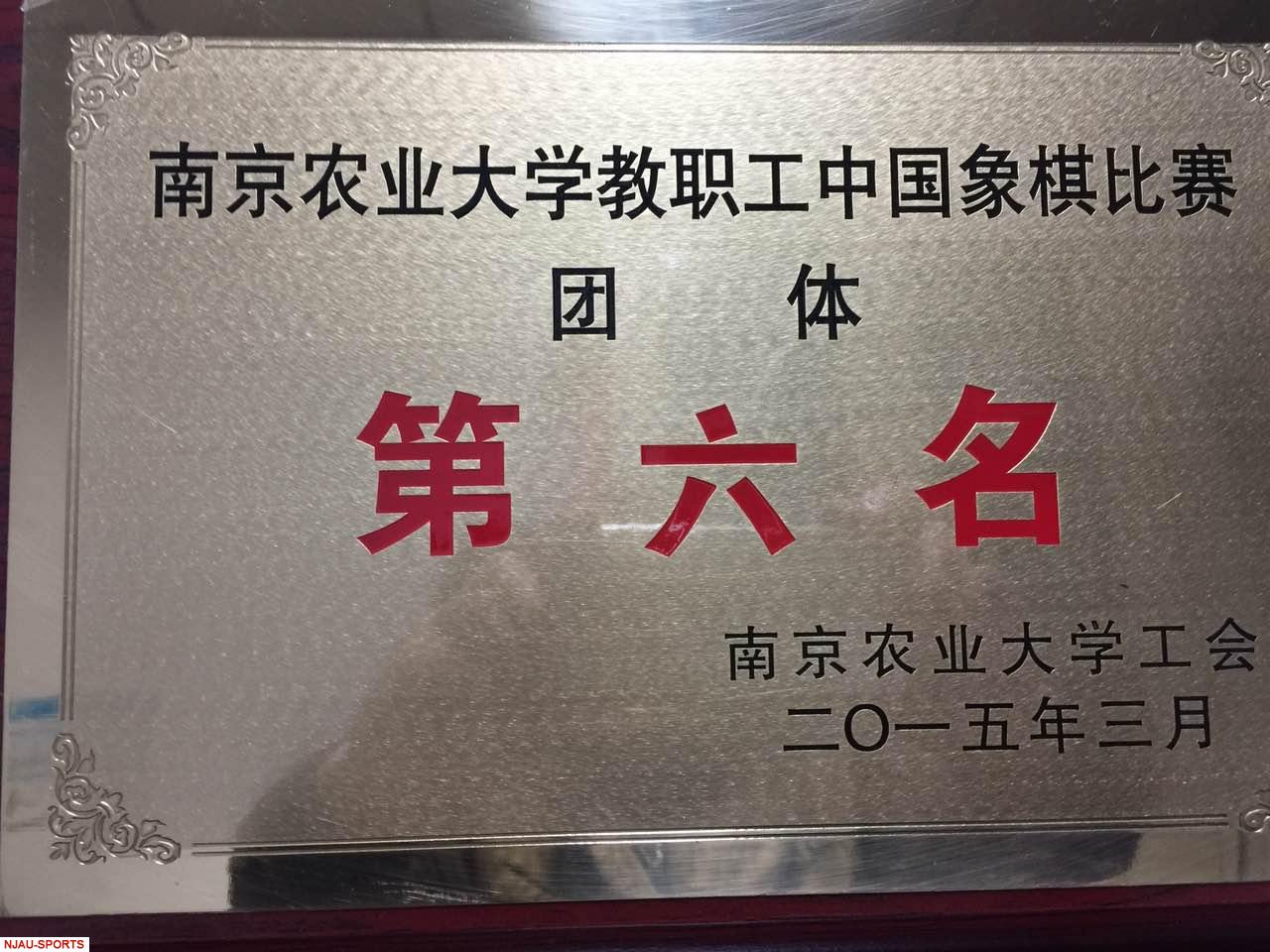 探球体育APP下载