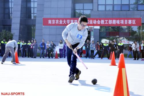 探球体育指定通道