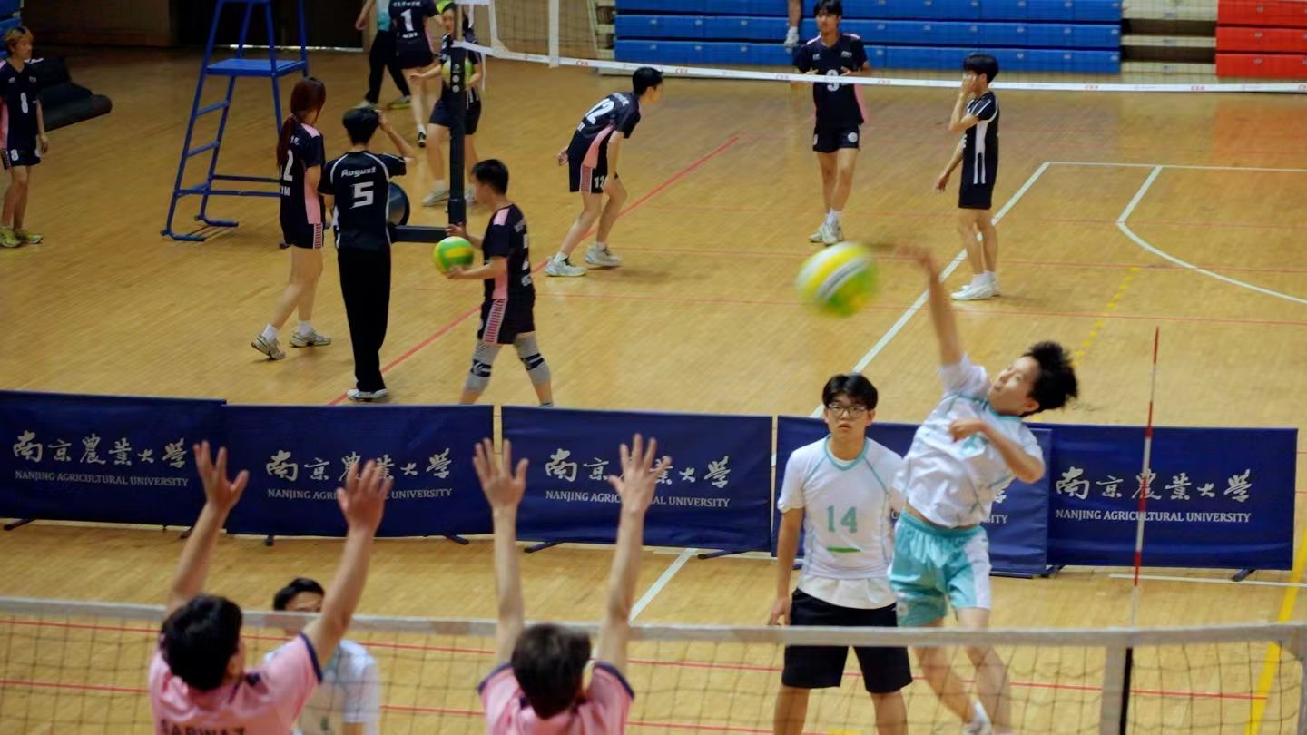 探球体育赛事资讯平台