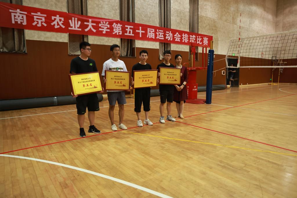 探球体育指定入口
