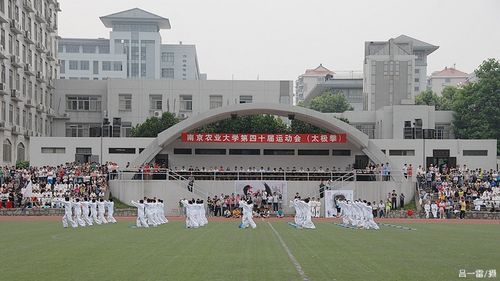 探球体育直播图片