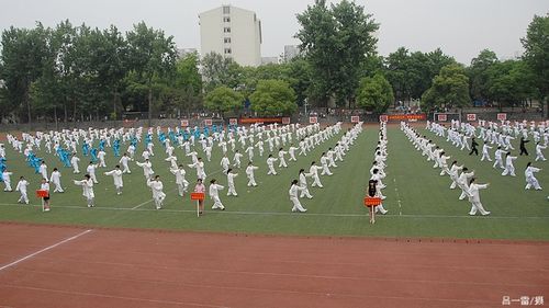 探球体育手机版图片