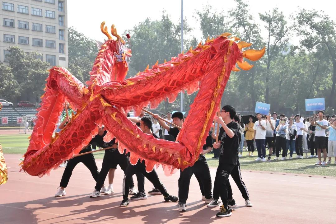 探球体育指定通道
