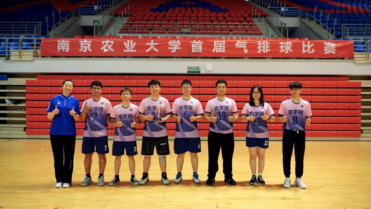 探球体育核心通道
