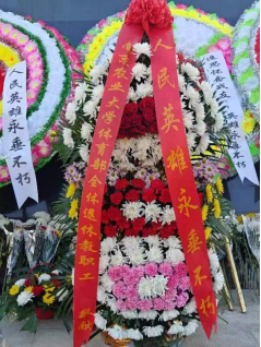 探球体育官方指定端