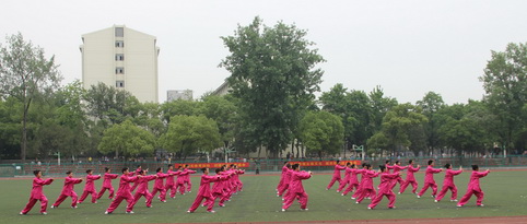 探球体育赛事资讯平台图片