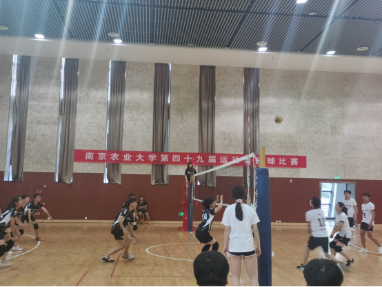 探球体育官方指定端