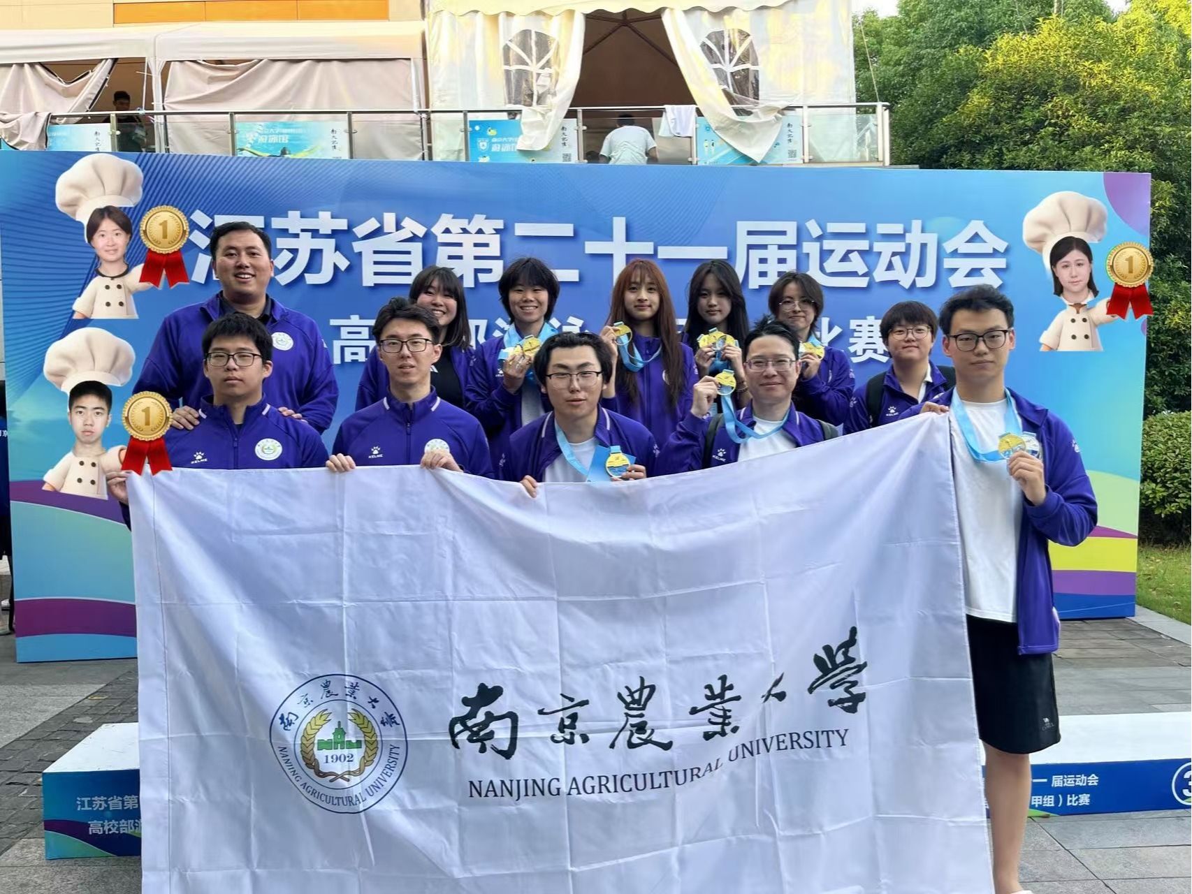 探球体育平台图片
