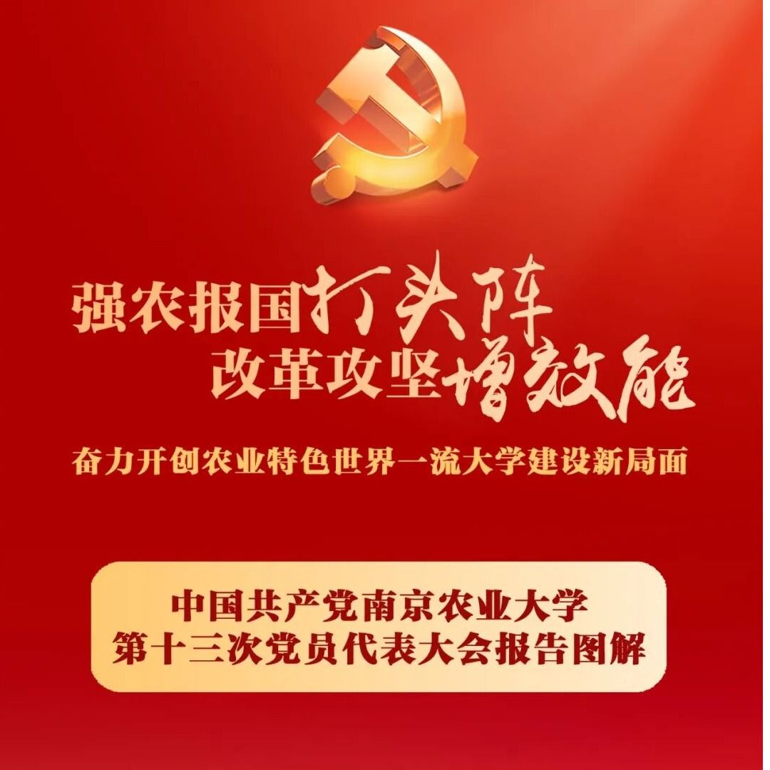探球体育直播图片