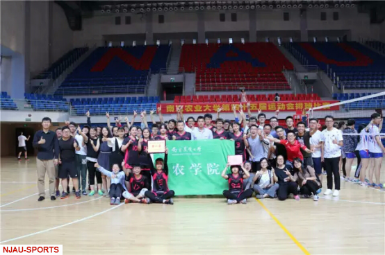 探球体育平台图片