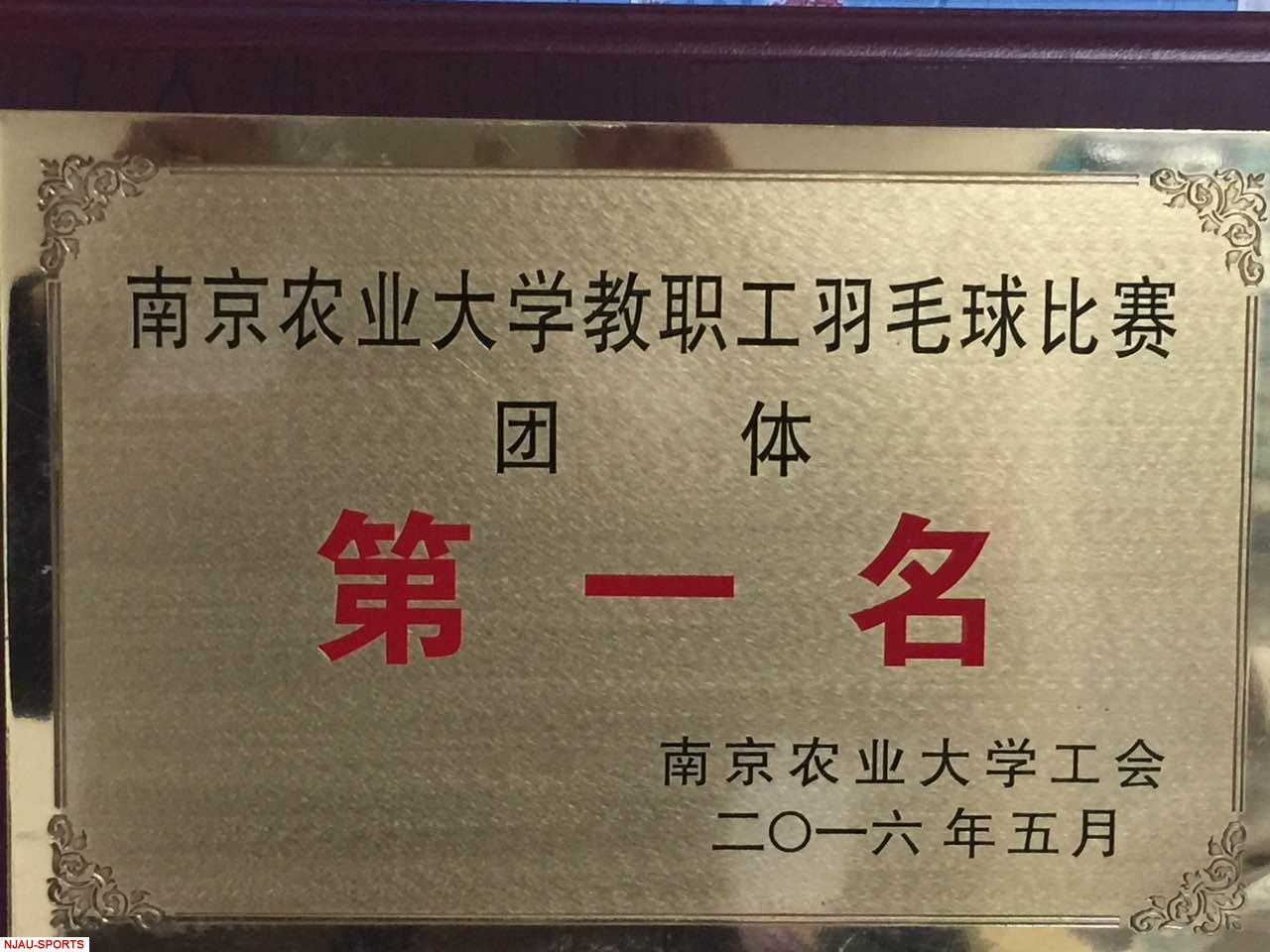 探球体育核心通道