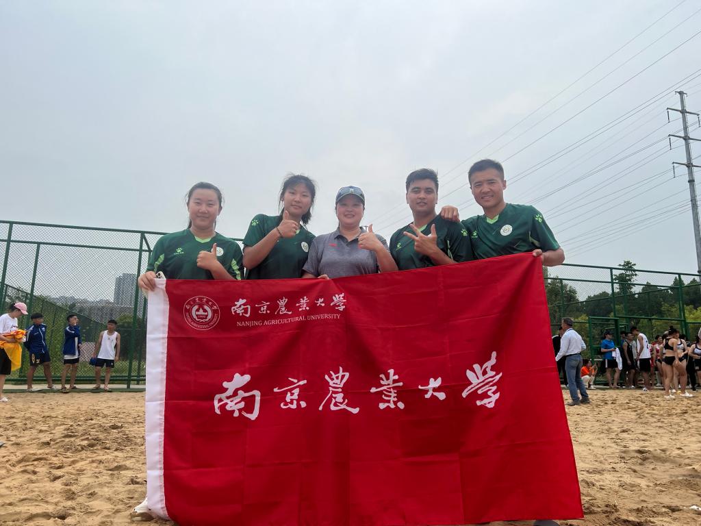 探球体育指定通道图片