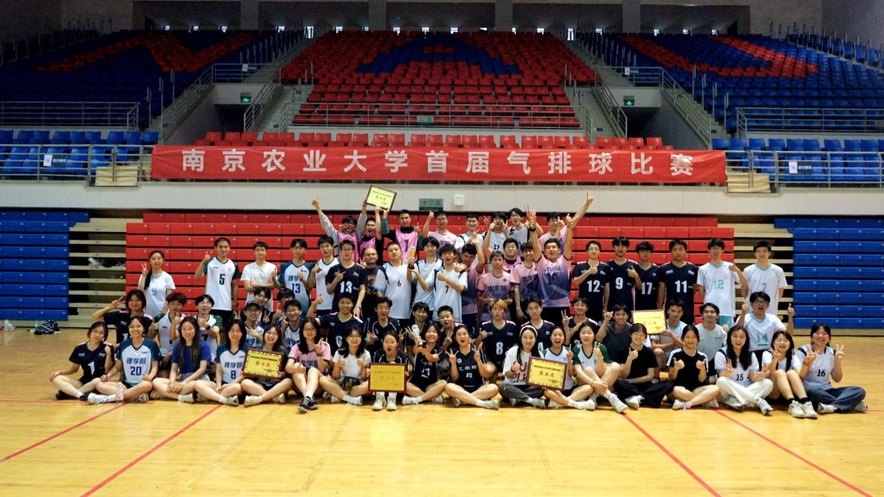 探球体育欧冠直播