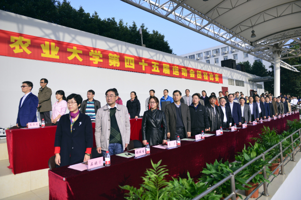 探球体育官方线路图片