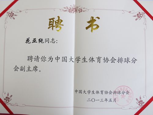 探球体育官方指定端图片