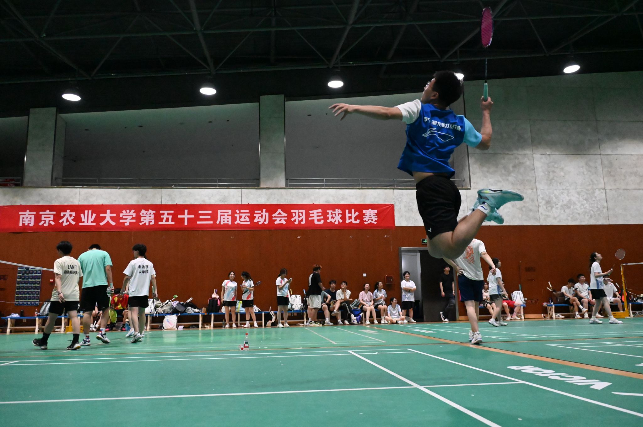 探球体育直播