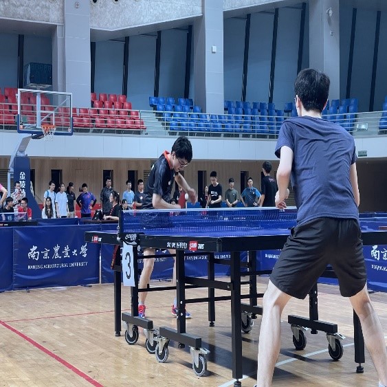 探球体育手机版