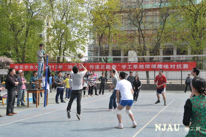探球体育安全通道图片