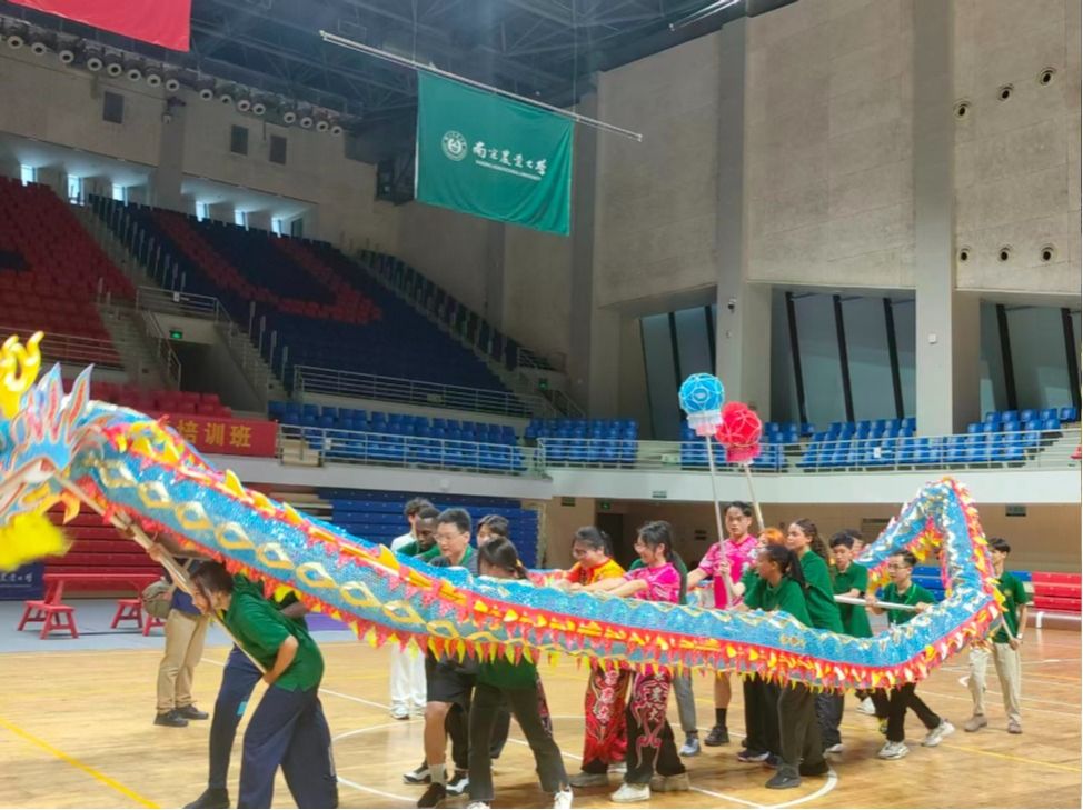 探球体育客户端图片