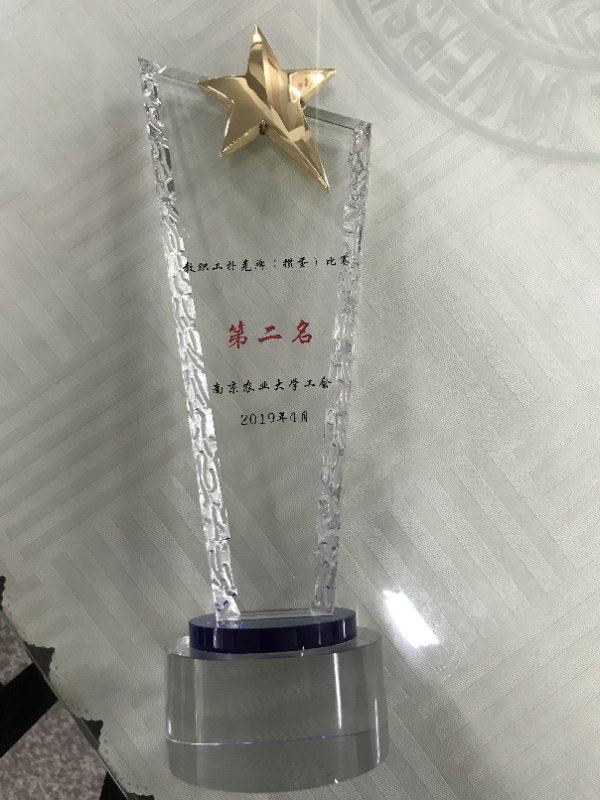 探球体育体育频道