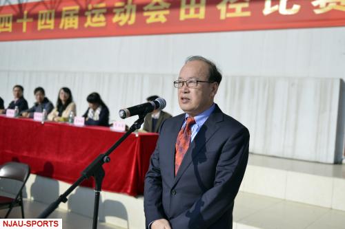 探球体育欧洲杯