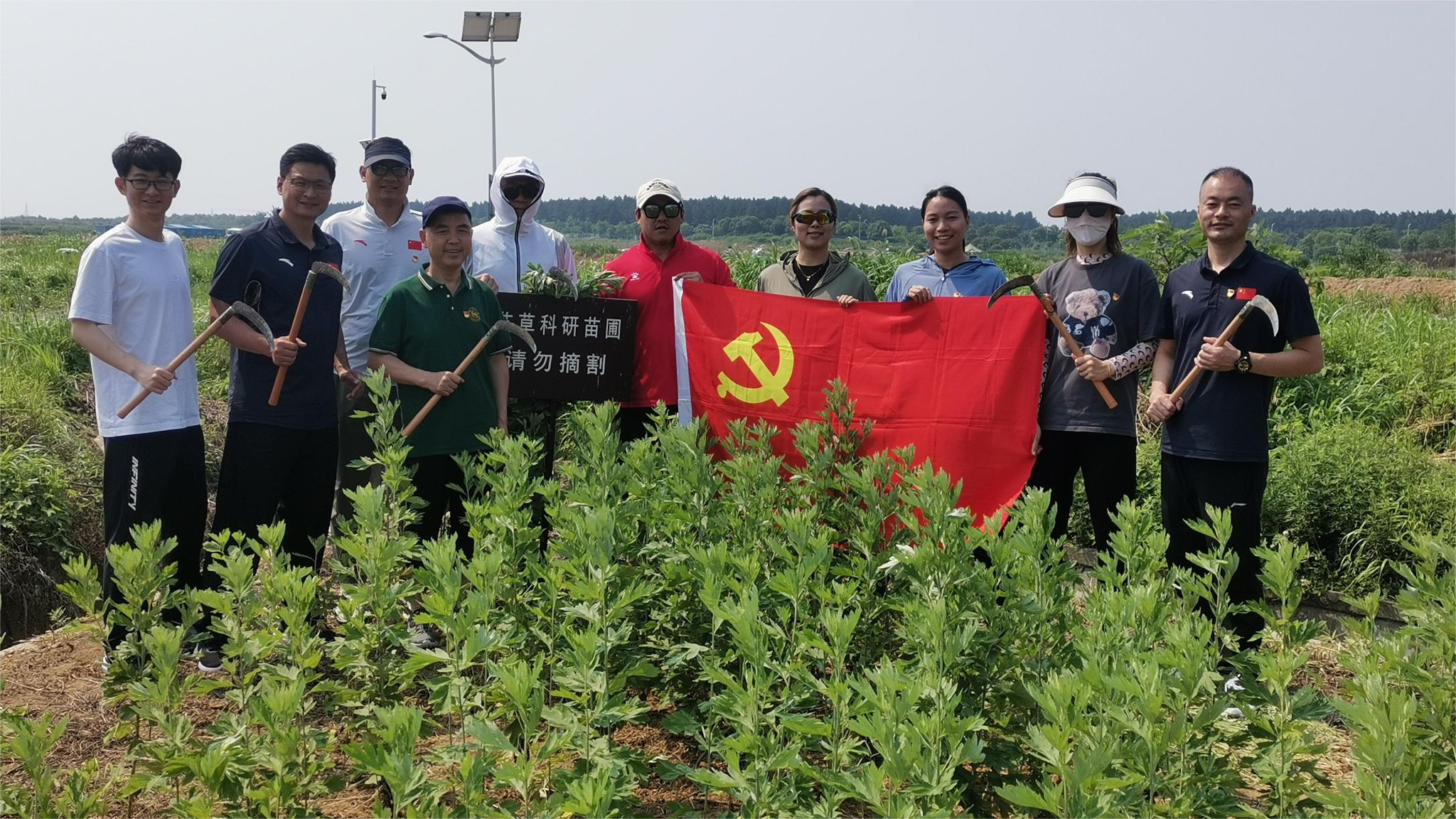 探球体育备用网址