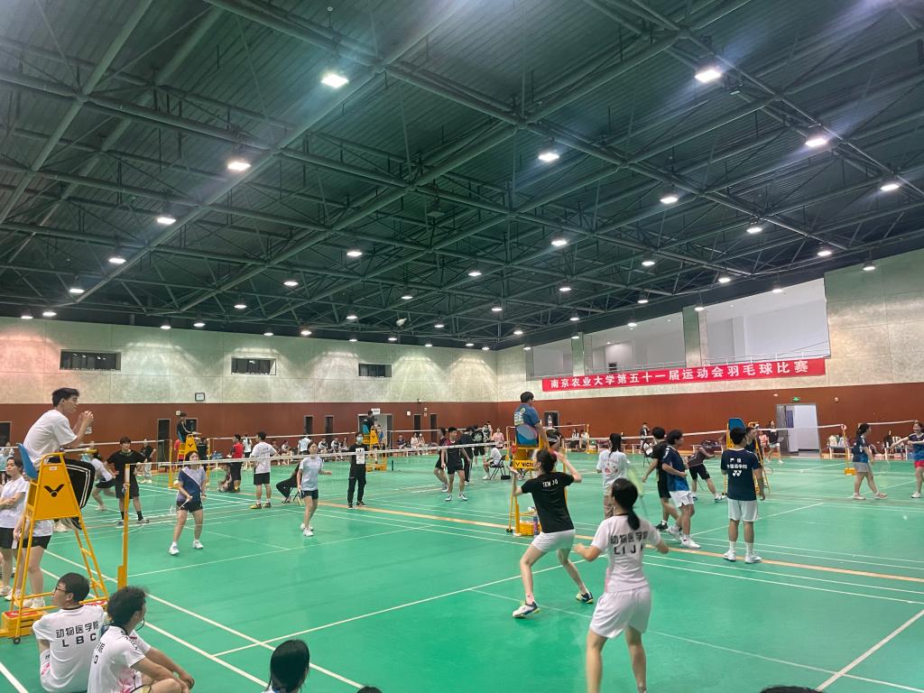 探球体育官方指定端