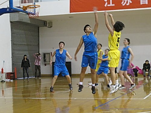 探球体育平台图片